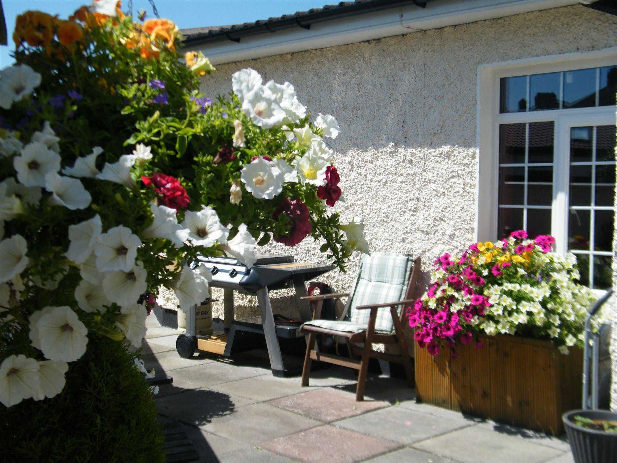 Almanii Bed & Breakfast ดับลิน ภายนอก รูปภาพ